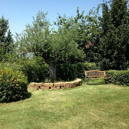 Charming House In With Shared Pool. * Montelabbate